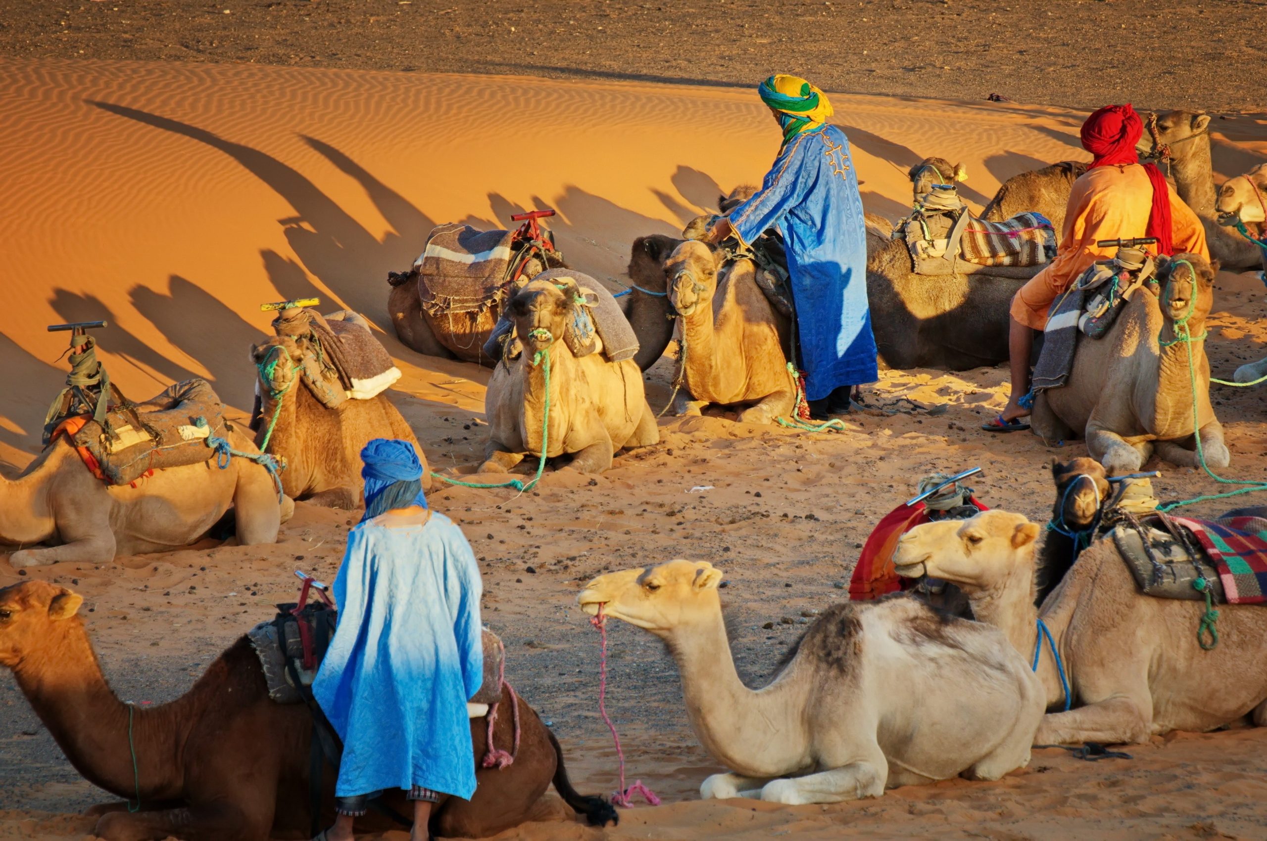 الرويسان وش يرجعون  ما هو أصل عائلة الرويسان